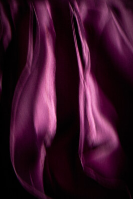 Elisa Noel Photography