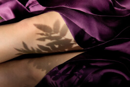 Elisa Noel Photography