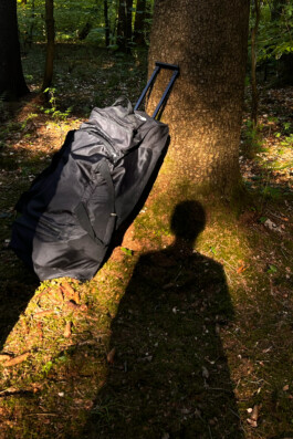 Elisa Noel Photo & Video Artist