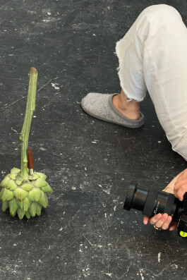 Elisa Noel Photography