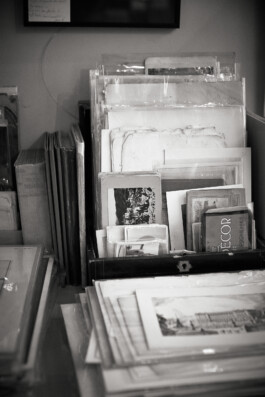 Elisa Noel Photography