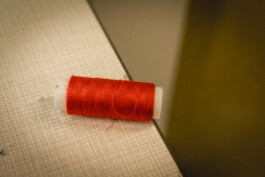 Elisa Noel Photography