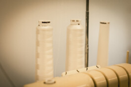 Elisa Noel Photography