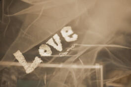 Elisa Noel Photography