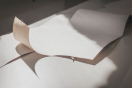 Elisa Noel Photography