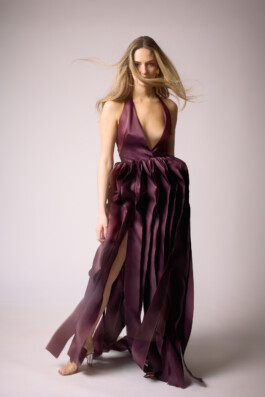 Elisa Noel Photography