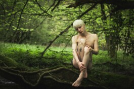 Elisa Noel Photography