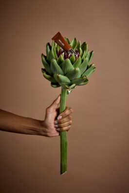 Elisa-Noel-Photo-Videoartist 