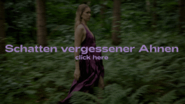 Elisa Noel Photo & Video Artist