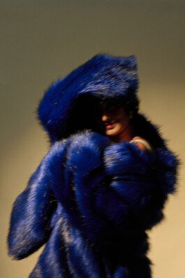 Elisa Noel Photo & Video Artist